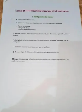 Temas 7-11 Anatomía UA (logopedia) 2025/2026