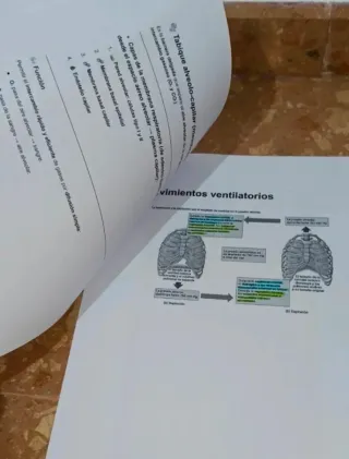Temas 7-11 Anatomía UA (logopedia) 2025/2026