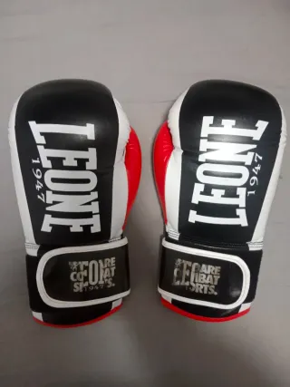 Guantes Leone 16 oz Boxeo/Kick Boxing