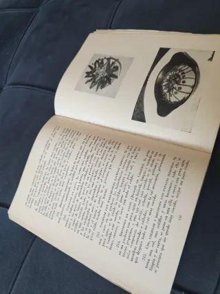 La alimentación natural del hombre