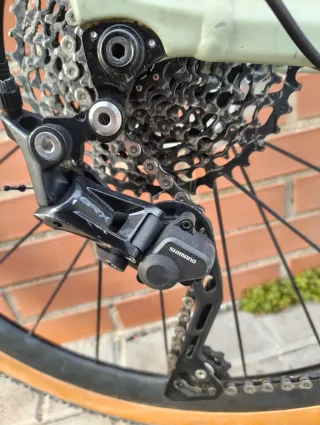 Bici gravel Giant Revolt t.M con DT Swiss G1800