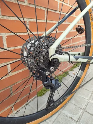 Bici gravel Giant Revolt t.M con DT Swiss G1800