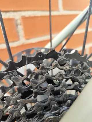 Bici gravel Giant Revolt t.M con DT Swiss G1800