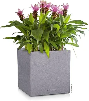 Maceta LECHUZA Canto Stone Low 30 Gris Piedra