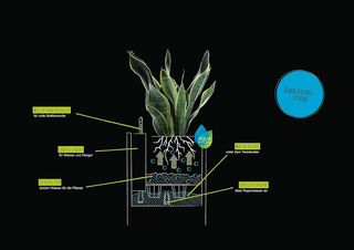 Maceta LECHUZA Canto Stone Low 30 Gris Piedra