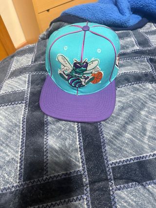 Gorra Charlotte Hornets Morado/Turquesa
