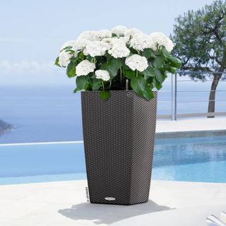 Maceta LECHUZA Cubico Cottage granito autorriego 15222