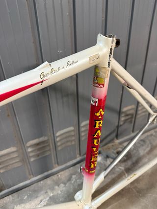 Telaio Rauler Columbus SLX