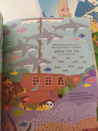 Pirate Activity Book