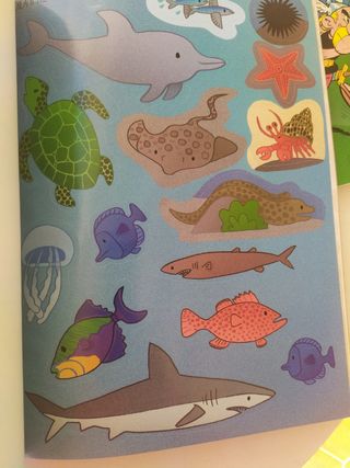 Pirate Activity Book