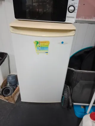 Nevera pequeña