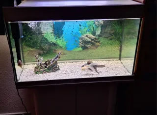 Acuario completo 140 litros con mueble