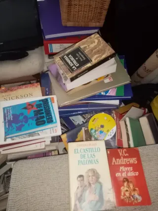 Lote de libros variados