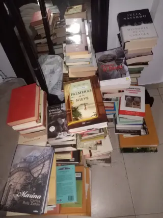 Lote de libros variados