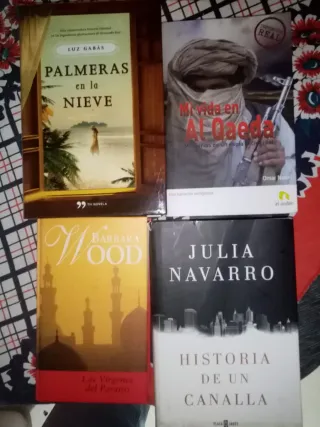 Lote de libros variados