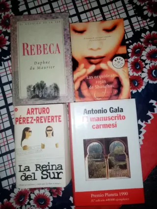 Lote de libros variados