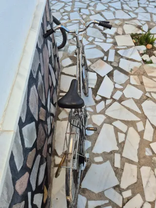 Bicicleta plateada BH gacela