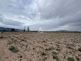 Terreno en venta en Totana