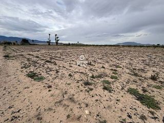 Terreno en venta en Totana