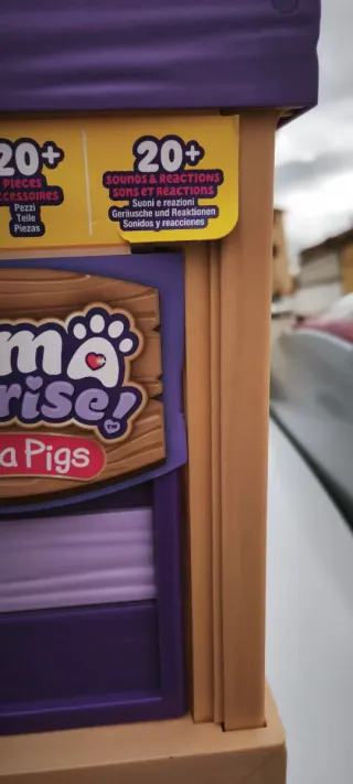 Mascota sorpresa Mama Guinea Pigs