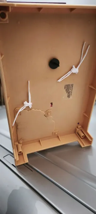 Mascota sorpresa Mama Guinea Pigs