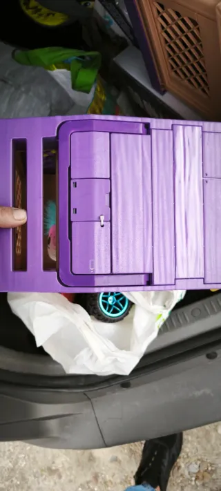 Mascota sorpresa Mama Guinea Pigs