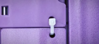 Mascota sorpresa Mama Guinea Pigs