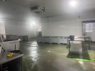 Nave industrial en alquiler en La Paz en Alcalá de Guadaira