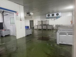 Nave industrial en alquiler en La Paz en Alcalá de Guadaira