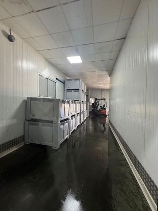 Nave industrial en alquiler en La Paz en Alcalá de Guadaira