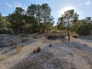 Casa en venta en Yecla