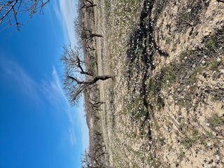 Terreno en venta en Bullas