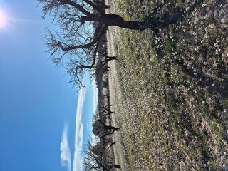 Terreno en venta en Bullas