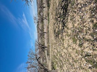 Terreno en venta en Bullas
