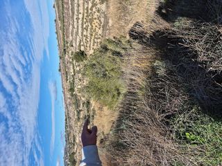 Terreno en venta en Bullas