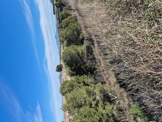 Terreno en venta en Bullas