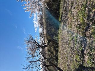 Terreno en venta en Bullas