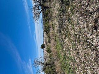 Terreno en venta en Bullas