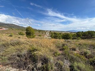 Terreno en venta en Totana