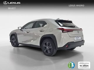 Lexus UX 2.0 300h UX Plus