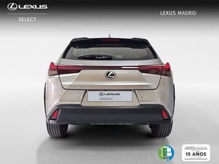 Lexus UX 2.0 300h UX Plus