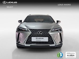 Lexus UX 2.0 300h UX Plus