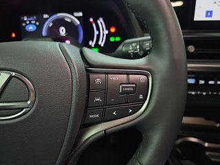 Lexus UX 2.0 300h UX Plus