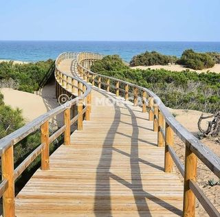 Local comercial en venta en Guardamar Playa en Guardamar del Segura