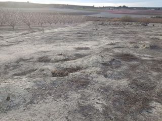 Terreno en venta en Cieza