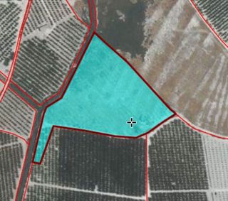 Terreno en venta en Cieza