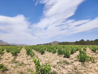 Casa rural en venta en Yecla