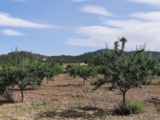 Casa rural en venta en Yecla