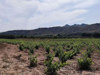 Casa rural en venta en Yecla