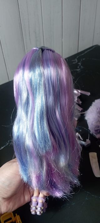 Lote Muñeca Rainbow High con accesorios